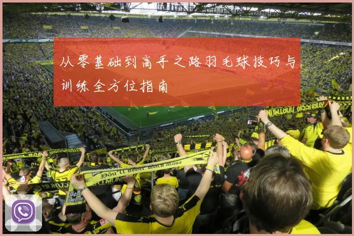 从零基础到高手之路羽毛球技巧与训练全方位指南