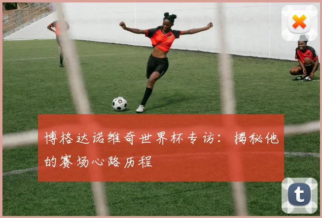 博格达诺维奇世界杯专访：揭秘他的赛场心路历程