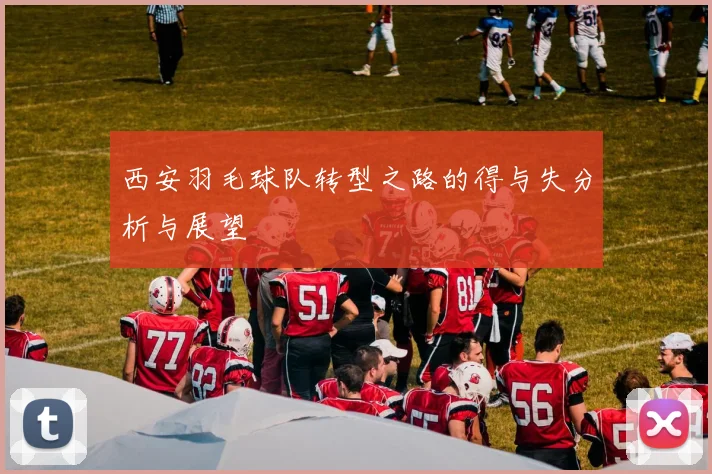 西安羽毛球队转型之路的得与失分析与展望
